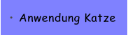 Anwendung Katze