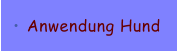 Anwendung Hund