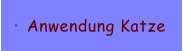 Anwendung Katze