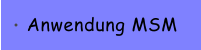Anwendung MSM