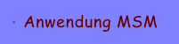 Anwendung MSM